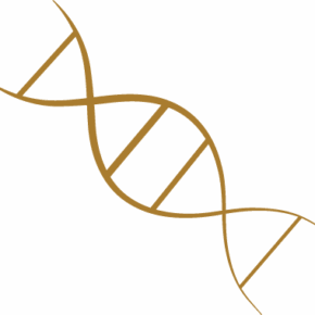 Strain submission form